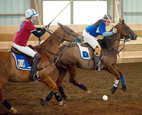 Polo photo one (Campbell)