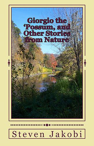 Steven Jakobi book cover