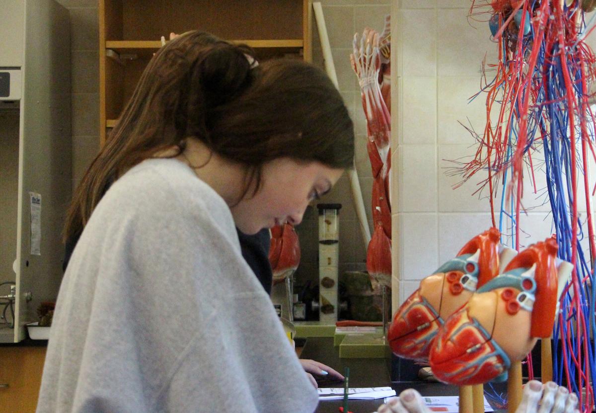 Student works in a lab