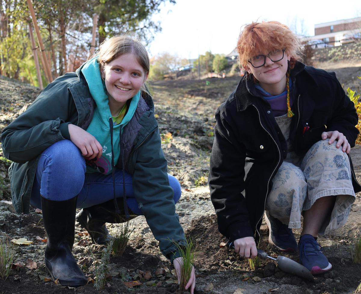 students plant grass in a retention pond on campus