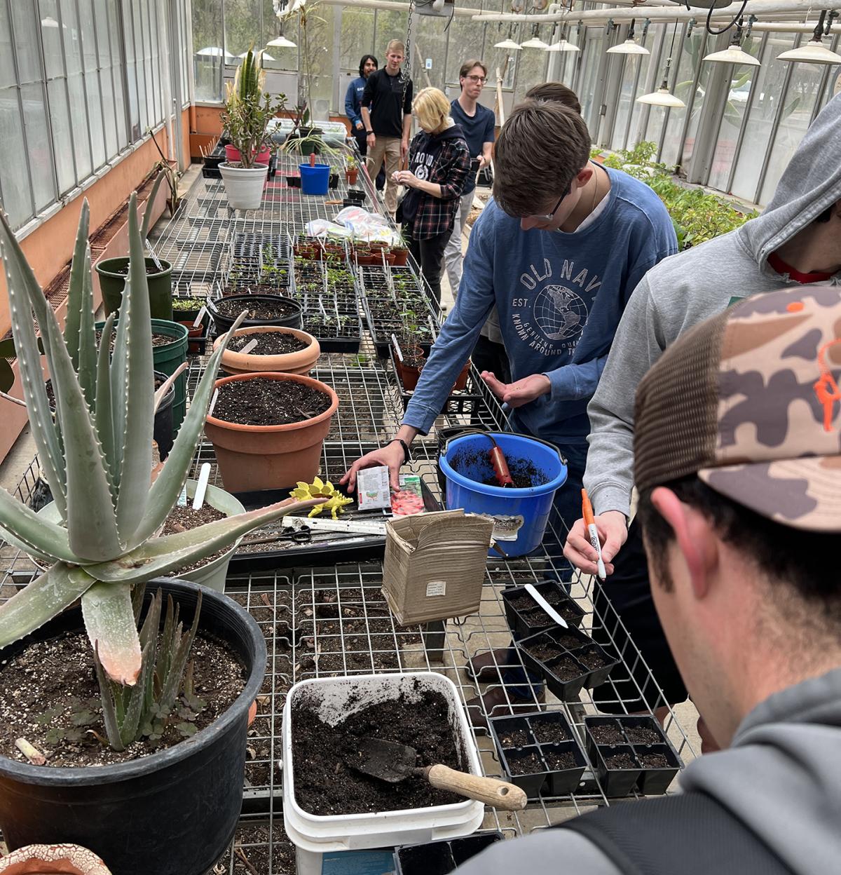 Alfred State students plant tomatoes in the greenhouse in a celebration of Earth Week.