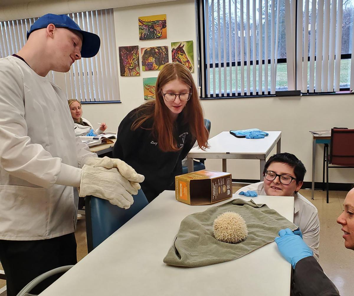 Alfred State students work in a veterinary tech laboratory.