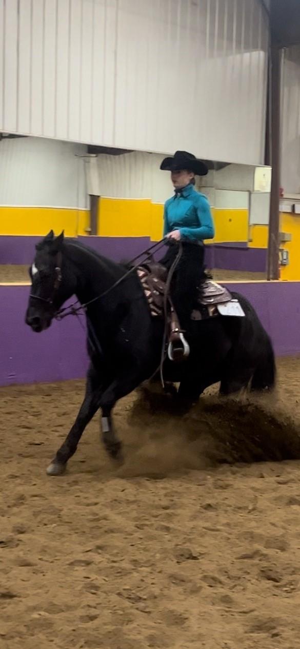 A western equestrian rider competes