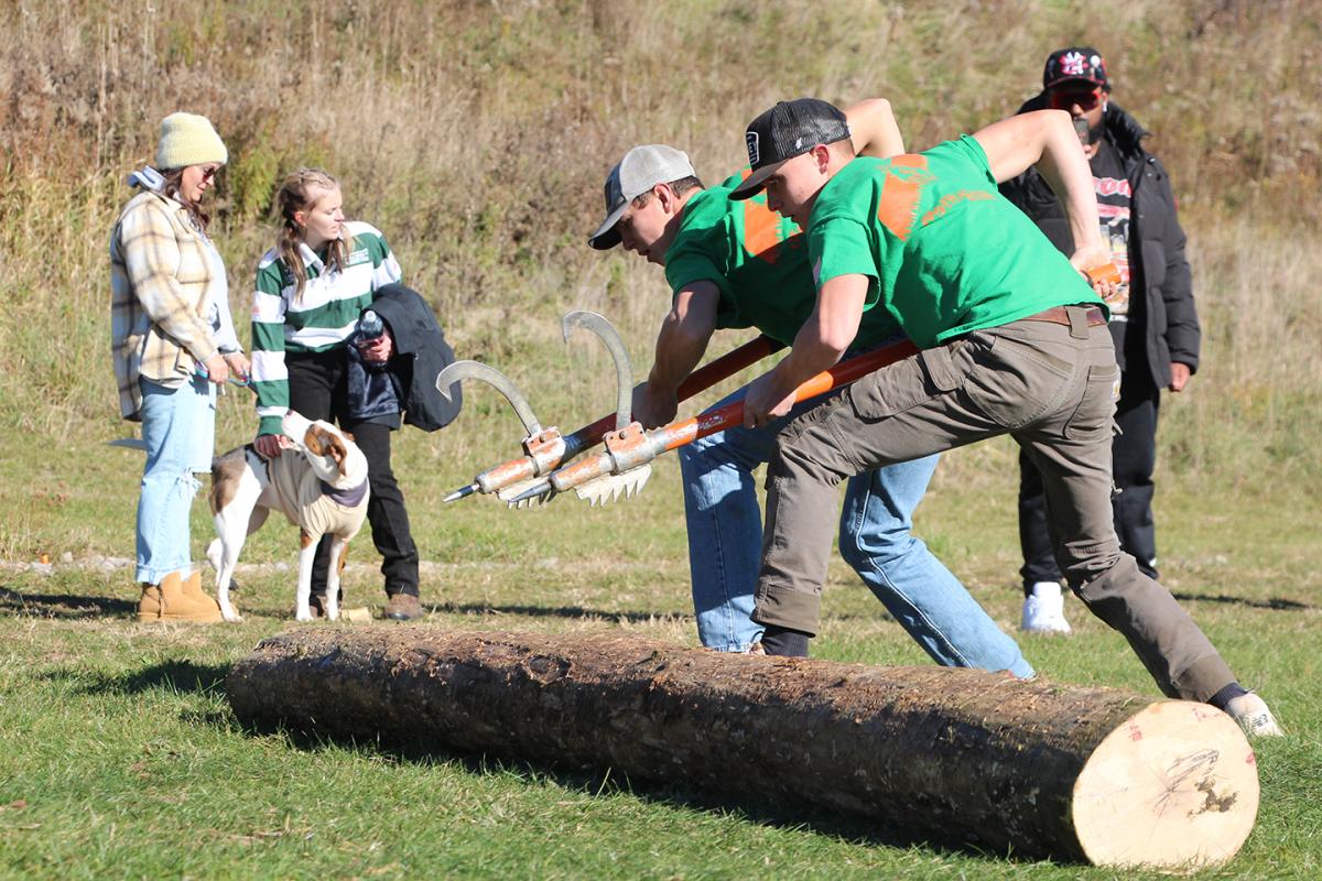 students roll a log at a woodsmen event