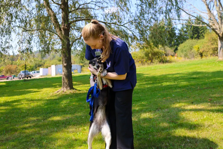 A student caring for a dog outside