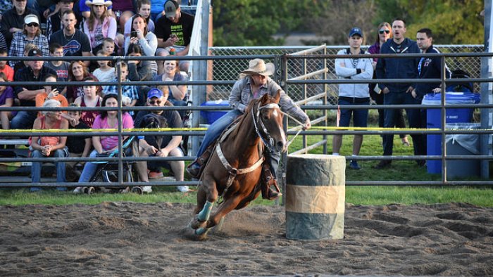 Rodeo picture