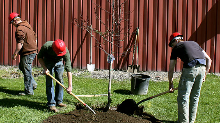 Tree-Planting-on-Wellsville-Campus