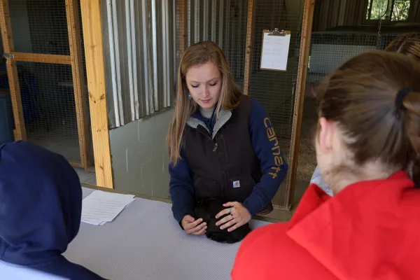 An Alfred State students talks to high school students about the bunnies that live on the farm at the College’s Veterinary, Agricultural, Sciences, and Technology Career Discovery Event.