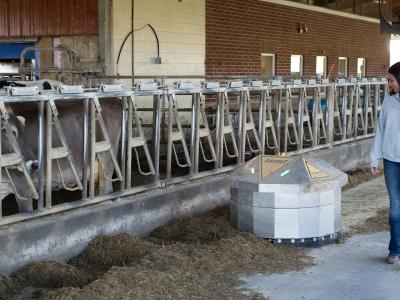 student works with a robot at the college farm