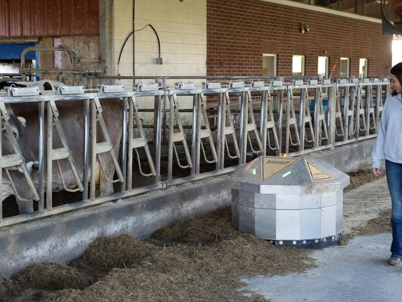student works with a robot at the college farm