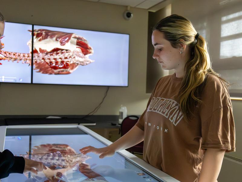 student works on the anatomage table