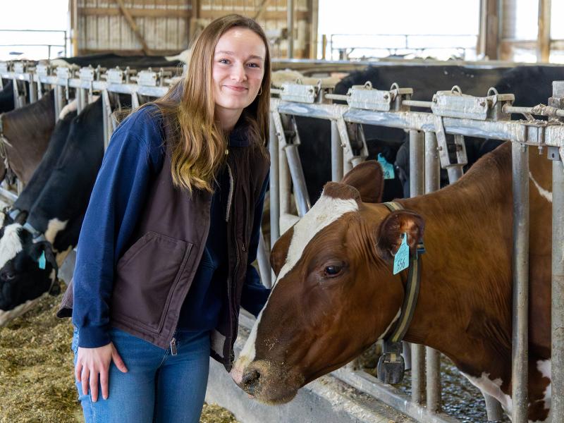 agriculture students stands near a cow