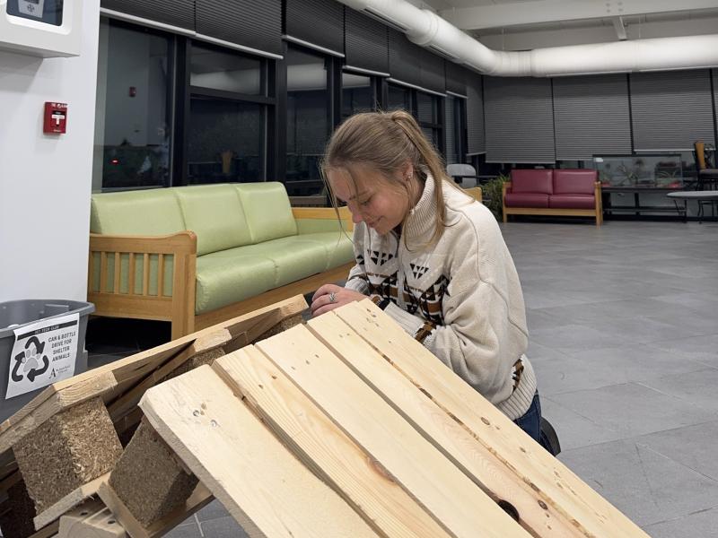 Jordan Henry works on a enrichment tool for the dogs