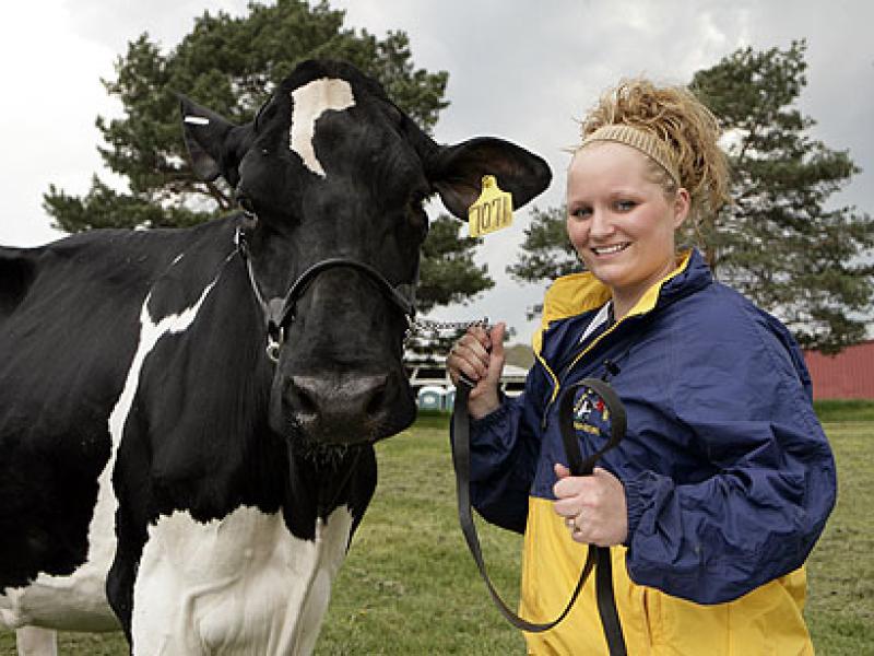 ASC pretty Cow with Krista Holland_a 