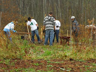 Alfred Community Garden to build garden shed