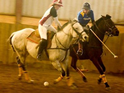 Alfred State Polo vs. Harvard 2016