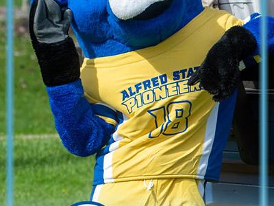 BigBlue-AlfredState-card_0