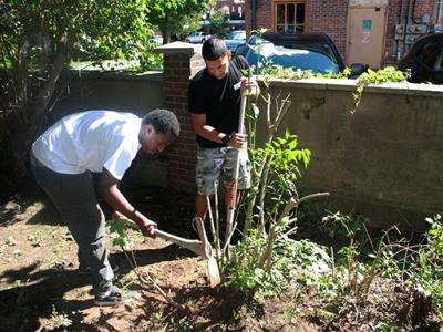 Community Action Day