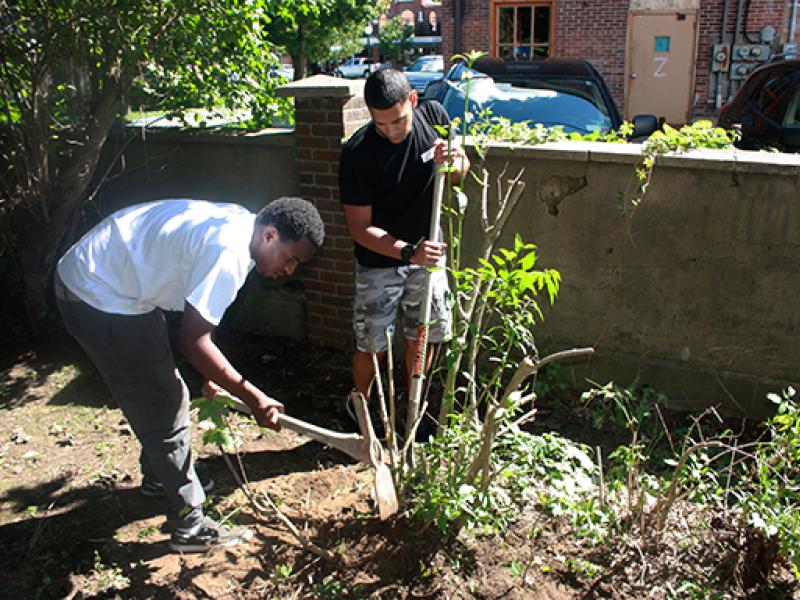Community Action Day