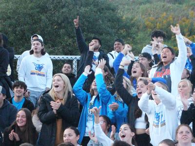 crowd cheering at an athletic event