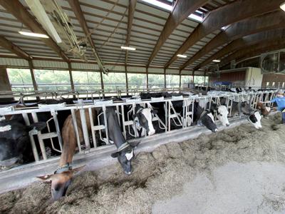 Dairy of Distinction Photo