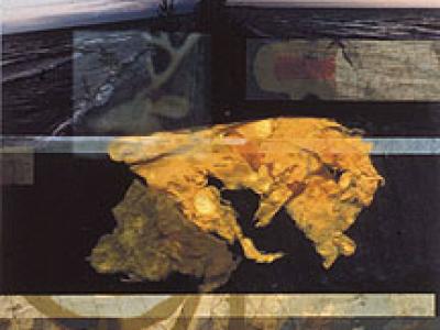 Dream of the Deer Spirit