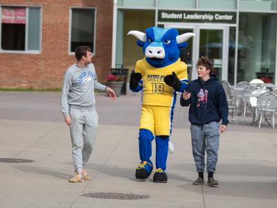Big Blue walks to class with a pair of Alfred State College students. 