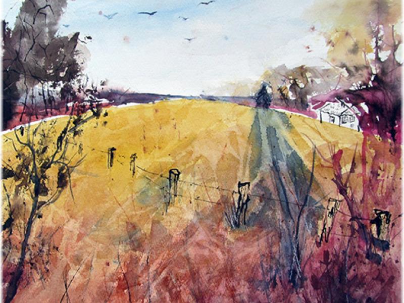 Freedom of the Fields