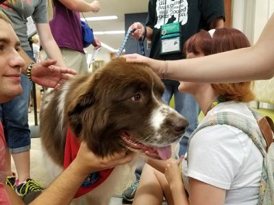 Harper-not-thumbnail