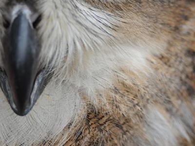 It's Out There Exhibit Photo