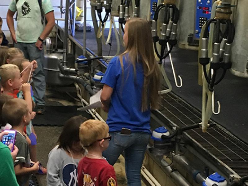 Kiddie Ag Day 2016