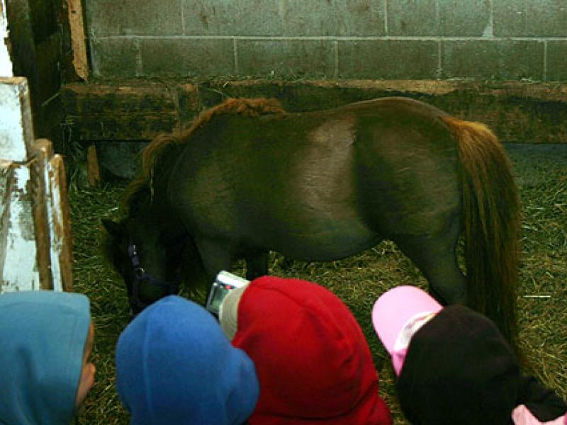 Kiddie Ag Day pony IMG_0111_a