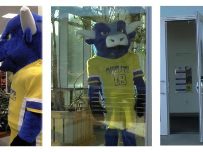 Mirrors, Windows, Doors_0