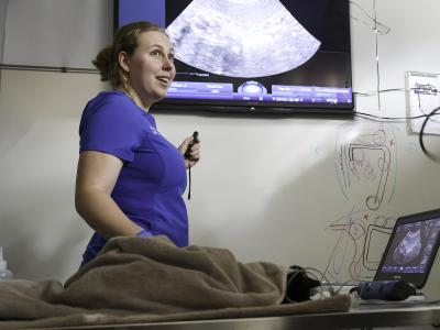 Meghan Morse works on an animal