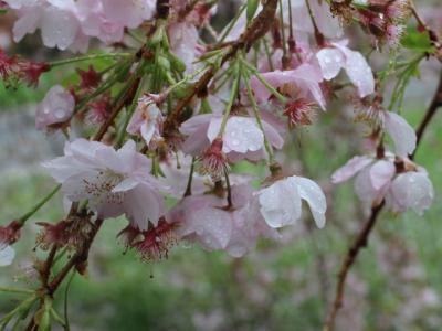 New Beginnings (002)_0