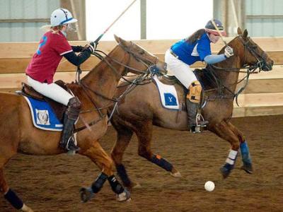 Polo photo one (Campbell)