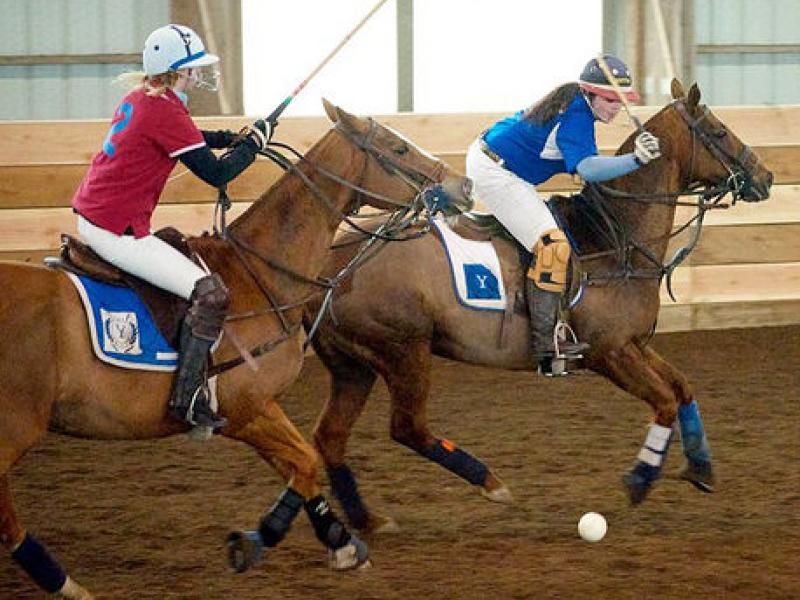 Polo photo one (Campbell)