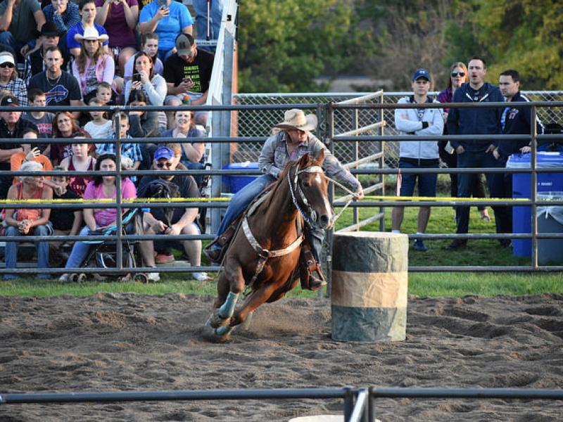 Rodeo picture