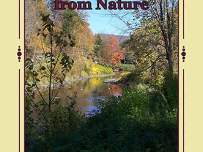 Steven Jakobi book cover