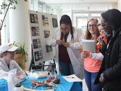 Student Showcase 2018