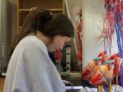 Student works in a lab