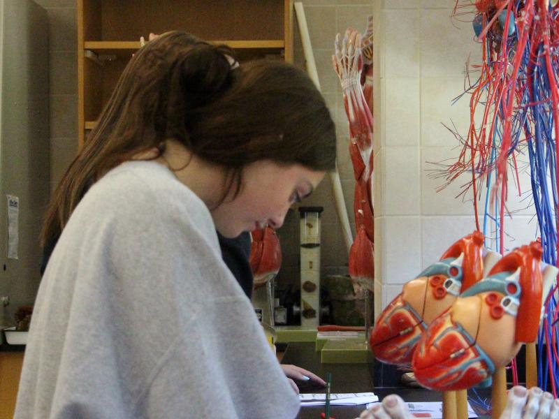Student works in a lab