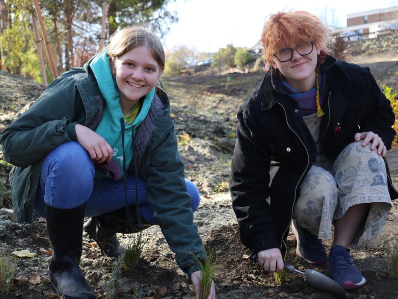 students plant grass in a retention pond on campus