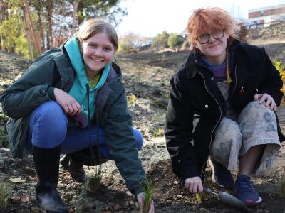 students plant grass in a retention pond on campus