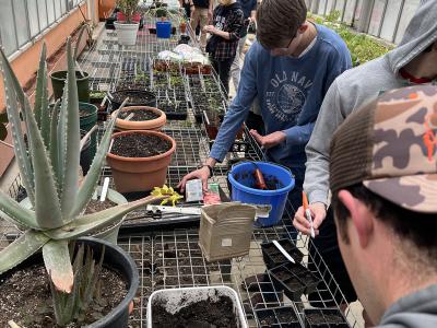 Alfred State students plant tomatoes in the greenhouse in a celebration of Earth Week.