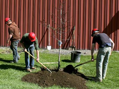 Tree-Planting-on-Wellsville-Campus