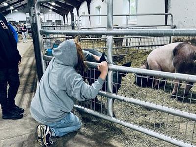 A visitor to the Veterinary, Agricultural, and Skilled Trades Career Discovery Event at Alfred State visits with the pigs.