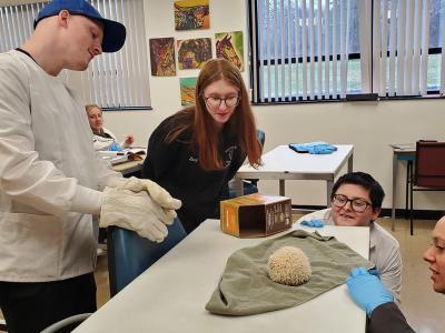 Alfred State students work in a veterinary tech laboratory.