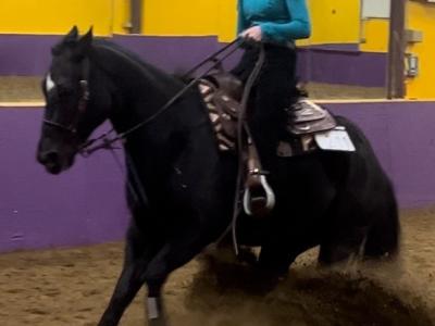 A western equestrian rider competes
