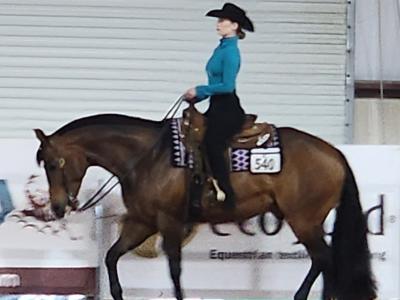 Ashley Wolfe rides at Nationals